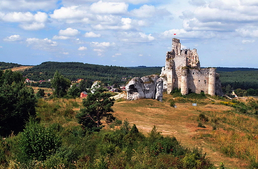 Ruiny zamku w Mirowie.