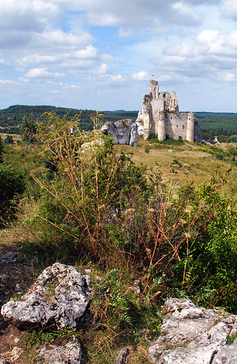 Mirw. Widok na ruiny zamku rycerskiego.