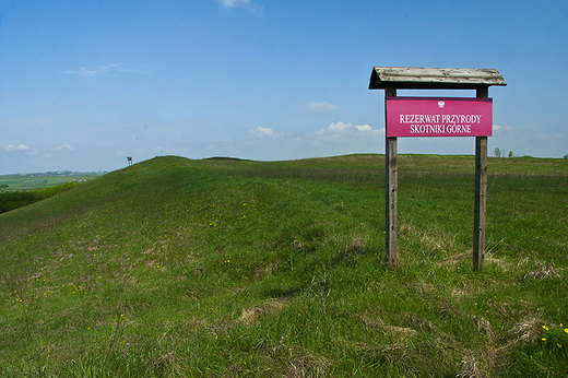 Rezerwaty Ponidzia - rezerwat Skotniki Grne