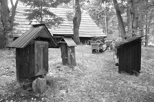 skansen