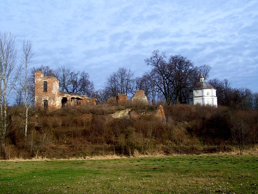 Ruiny pałacu na wzgórzu zamkowym