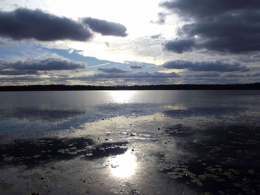 Poleski Park Narodowy - rdlene jezioro ukie