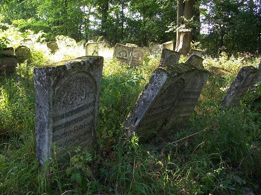 Szczebrzeszyn, cmentarz żydowski.