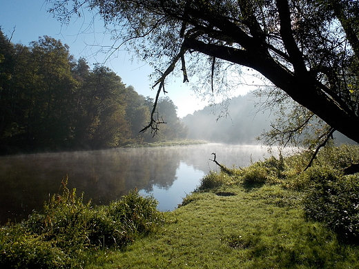 Szczypiorno. Poranek nad Wkr.