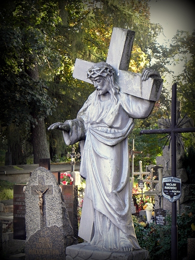 na suwalskim cmentarzu