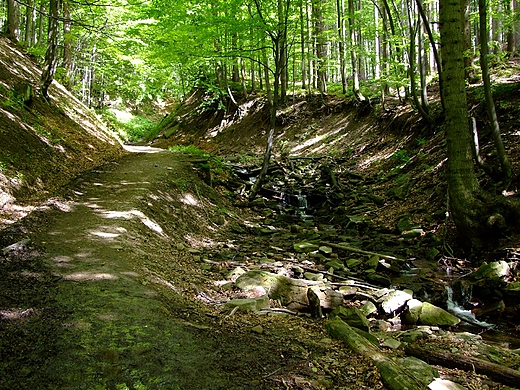 W drodze na Barani Gr. Beskid lski