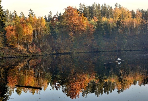 poranek na rzece