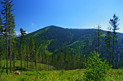 Beskid ywiecki