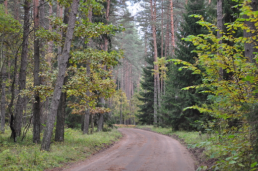 Toboowska Droga