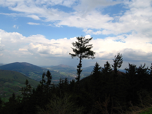 Widok na Beskid wyspowy z Lubonia Wielkiego