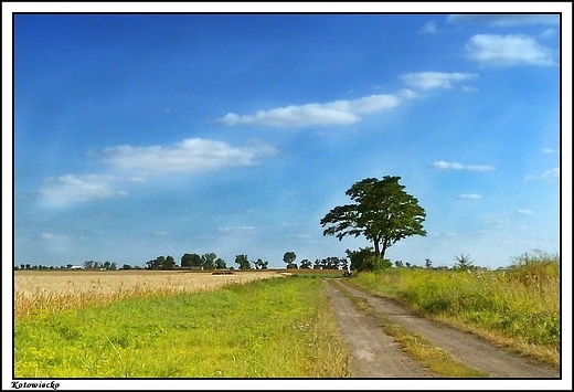 Kotowiecko - krajobraz okolicy