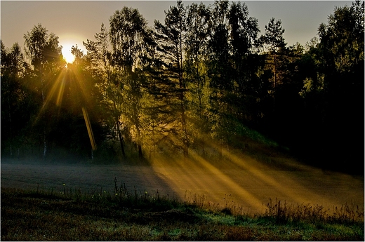 Jesienny widok.