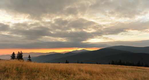 Hala Rysianka o wschodzie soca. Beskid ywiecki