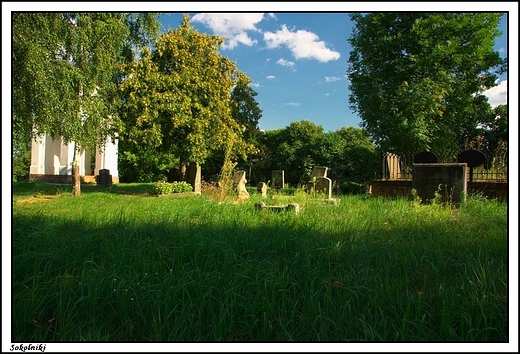 Sokolniki - ewangelicki cmentarz z okresu XiX w.