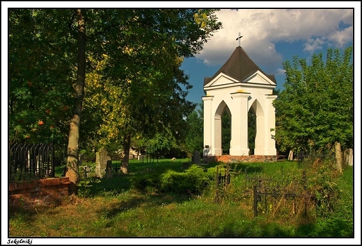 Sokolniki - ewangelicki cmentarz z okresu XiX w.
