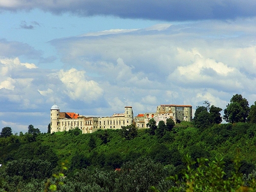 Widok na zamek w Janowcu