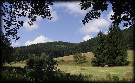 sielskie widoki