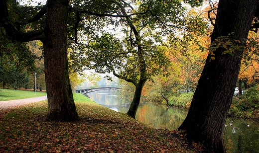 Szczecin - Park Kasprowicza