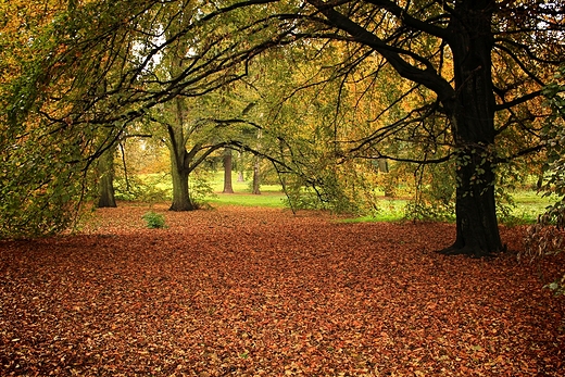 Szczecin - Park Kasprowicza