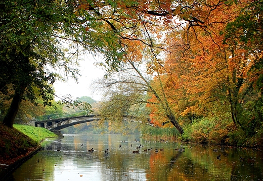 Szczecin - Park Kasprowicza - jezioro Rusaka