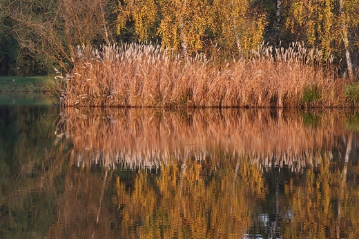 Jesiennie nad stawem