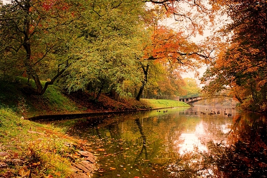 Szczecin - Park Kasprowicza - jezioro Rusaka