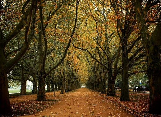 Szczecin - Park Kasprowicza