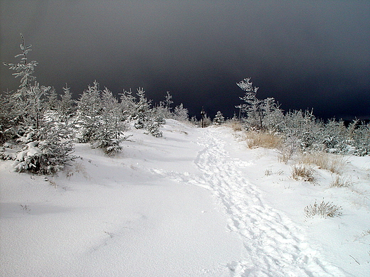 W drodze na Malinowsk Ska. Beskid lski