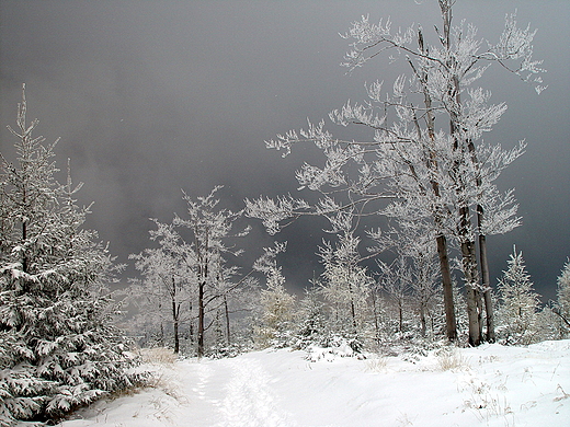 Droga w kierunku Malinowskiej Skay. Beskid lski