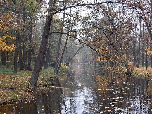 Misk Mazowiecki. W Parku Dernaowiczw.