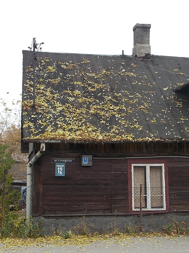 Misk Mazowiecki. Miasto z klimatem.