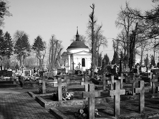 Na krasnostawskim cmentarzu