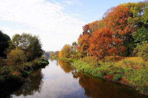 Jesie nad Barycz