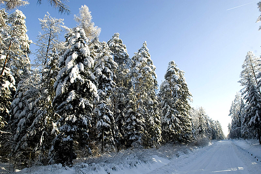 Zima trzyma!!! Ciechostowice