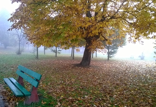 Park Skaryszewski