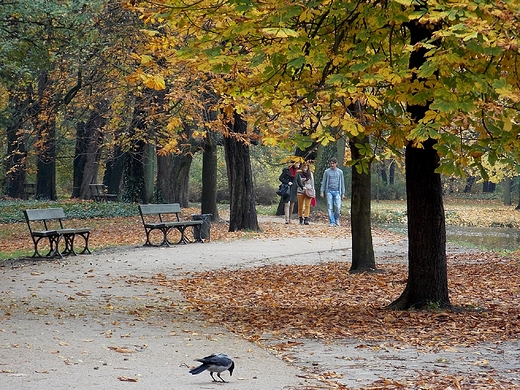 Warszawa. Jesie w azienkach.