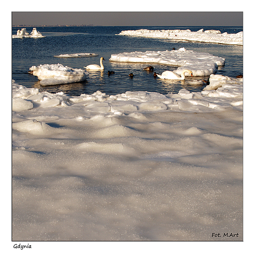 Gdynia - plaa zim. Midzy Mechelinkami a Gdyni