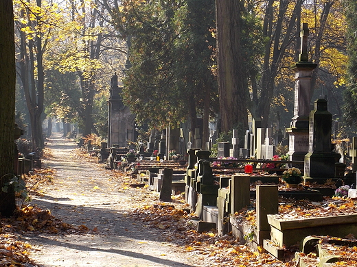 Warszawa. Cmentarz Powzkowski.