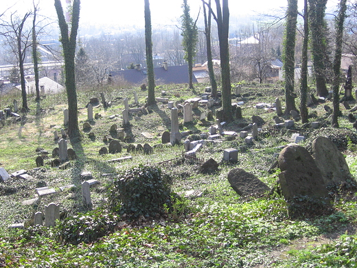 Cieszyn-cmentarz ydowski