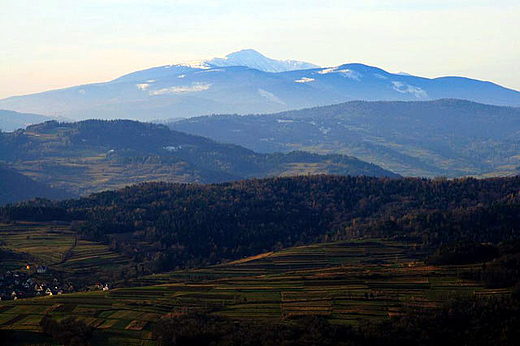 Babia Gra i Beskid Makowski