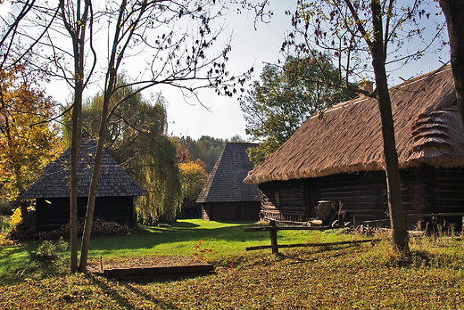 Park lski - skansen.