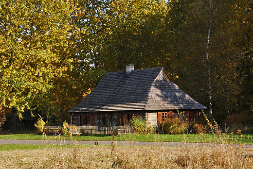 Park lski - skansen.