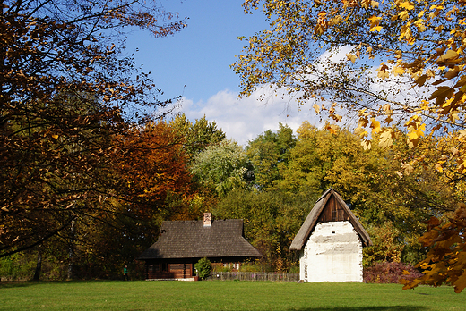 Park lski - skansen.