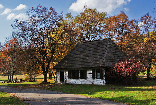 Park lski - skansen.