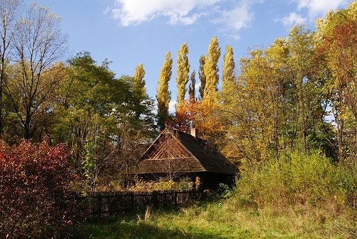 Park lski - skansen.