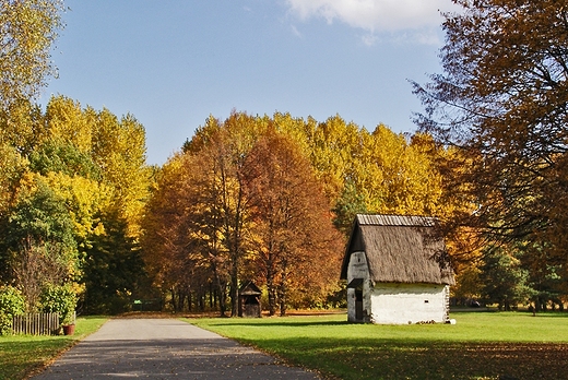 Park lski - skansen.