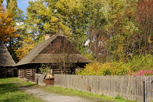 Park lski - skansen.