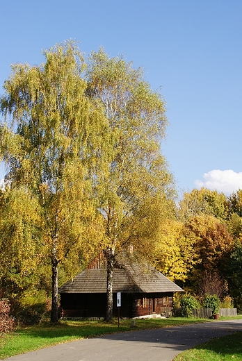 Park lski - skansen.