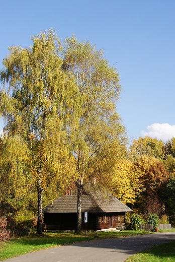 Park lski - skansen.