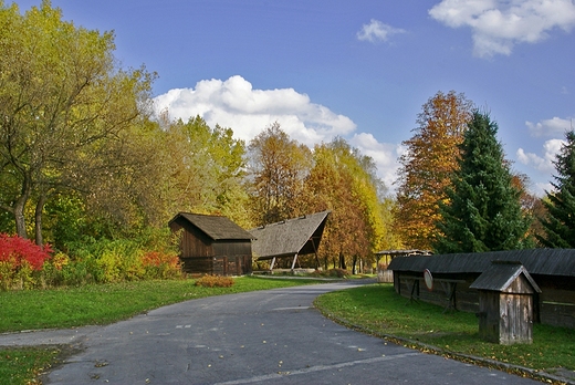 Park lski - skansen.